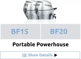 Show Details BF15 BF20  Portable Powerhouse