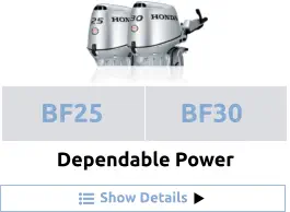 Show Details Dependable Power BF25 BF30